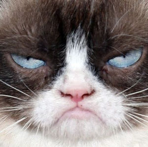 Meet your Posher, Jackoby